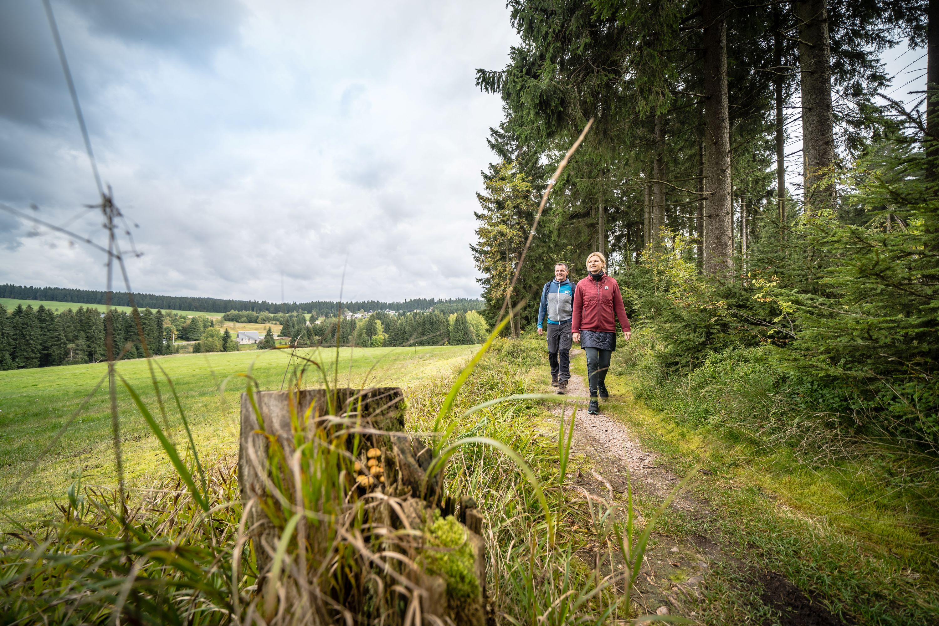 Kammweg Erzgebirge-Vogtland, Carlsfeld