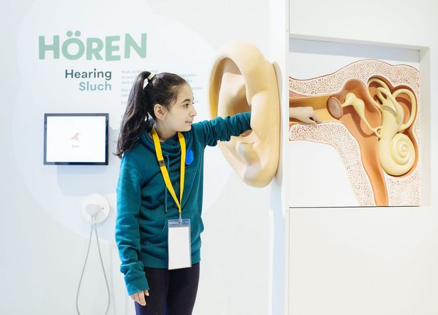 Eine Frau steht im Ausstellungsraum "Hören" des Deutschen Hygienemuseums Dresden. Sie greift mit ihrer linken Hand in ein großes Ohr. Dahinter sieht man die einzelnen Teile.